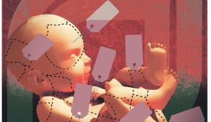 B3-thomas2_c0-292-1400-1108_s561x327