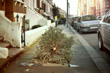 Discarded-Christmas-Tree